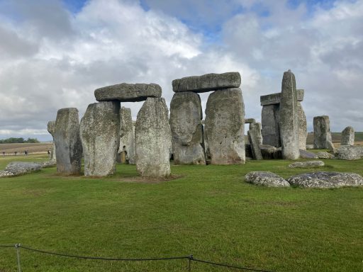 Driver-guide Chauffeur Walking Train